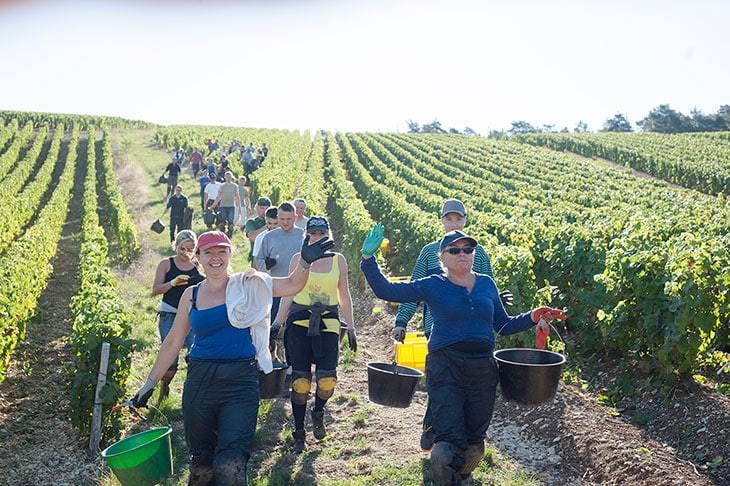 Mise à disposition de personnel